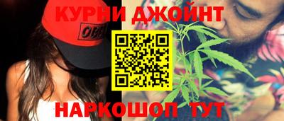 СК Вязьма