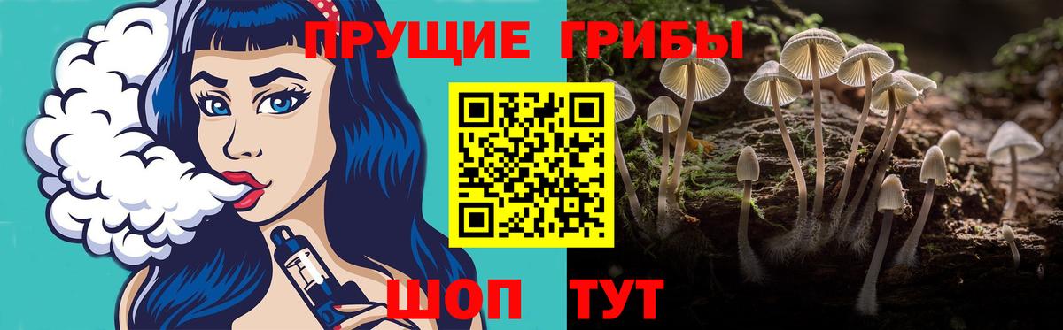 Галлюциногенные грибы мухоморы Омск