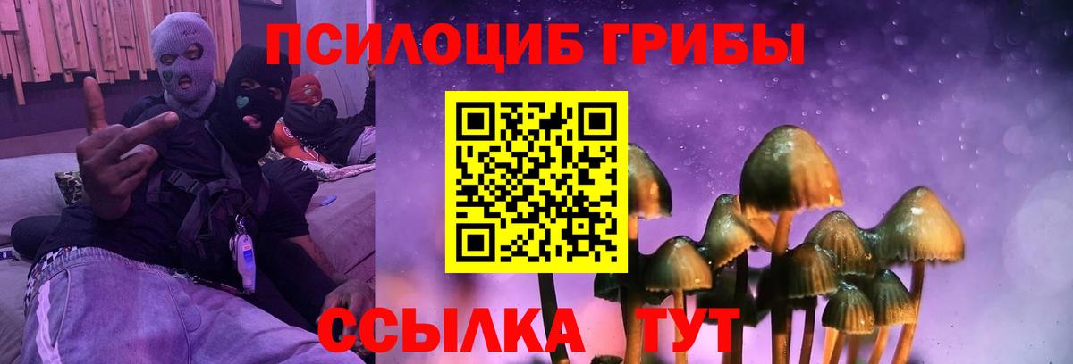 продажа наркотиков  Псилоцибиновые грибы Psilocybe  Вход с VPN  Галлюциногенные грибы прущие грибы  Омск 